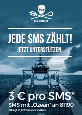 support_sms_2.png
