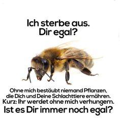 8288db5e8b117f467b59aba211131648.jpg