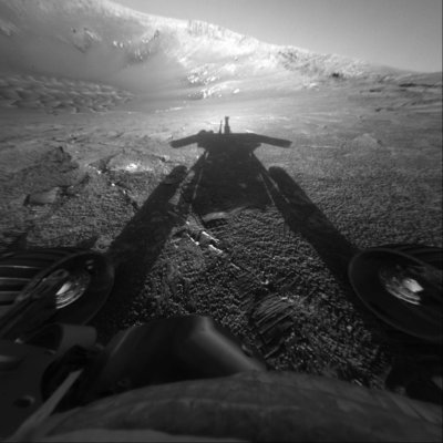 Oppy.jpg